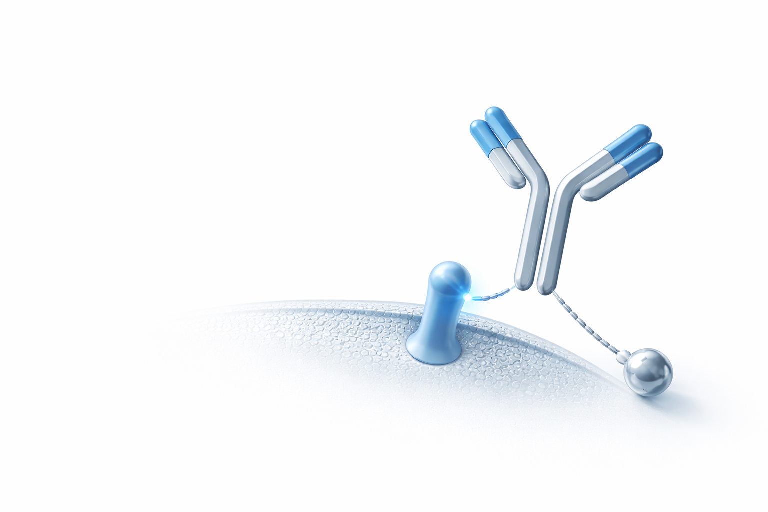 ADC药物靶点检测服务